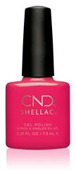 Cnd Shellac - Offbeat