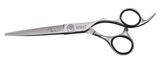 Mint 6" Scissor