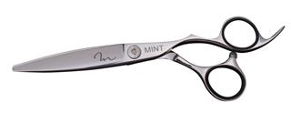 Mint 6" Dry Cutting Scissor