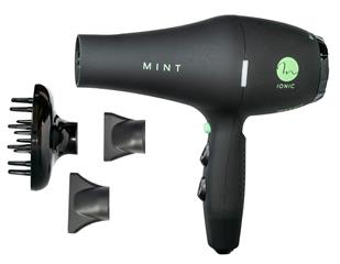 Mint Black Bird Ionic Dryer