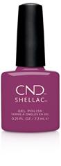 Cnd Shellac - Brazen