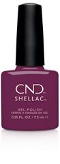 Cnd Shellac - Vivant (d)