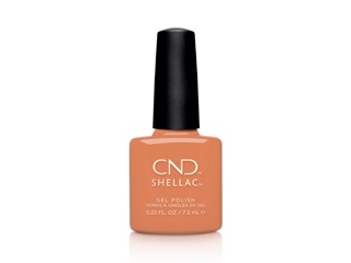 Cnd Shellac - Catch Of The Day