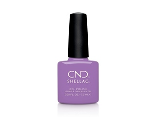 Cnd Shellac - It's Now Oar Nvr(d