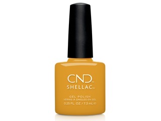 Cnd Shellac - Among The Marigold