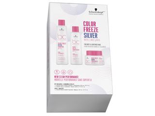 Color Freeze Silver Holiday Set