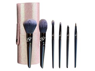 Sst Luxury Travel Brush Set-pink