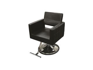 Picasso Hydraulic Styling Chair